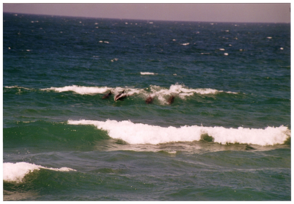 01 - Sydney Bondi Beach (2).jpg